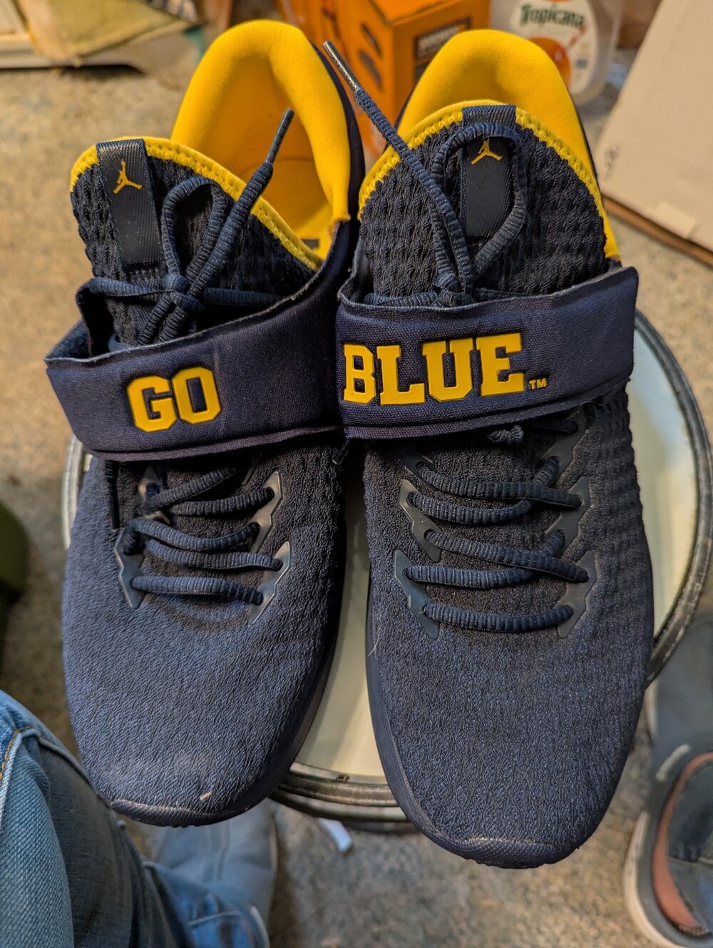 Excellent Nike Air Jordan Trainer 3 Michigan Wolverines Sneakers Sz 11 Go Blue